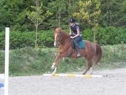 2009 Springundervisning